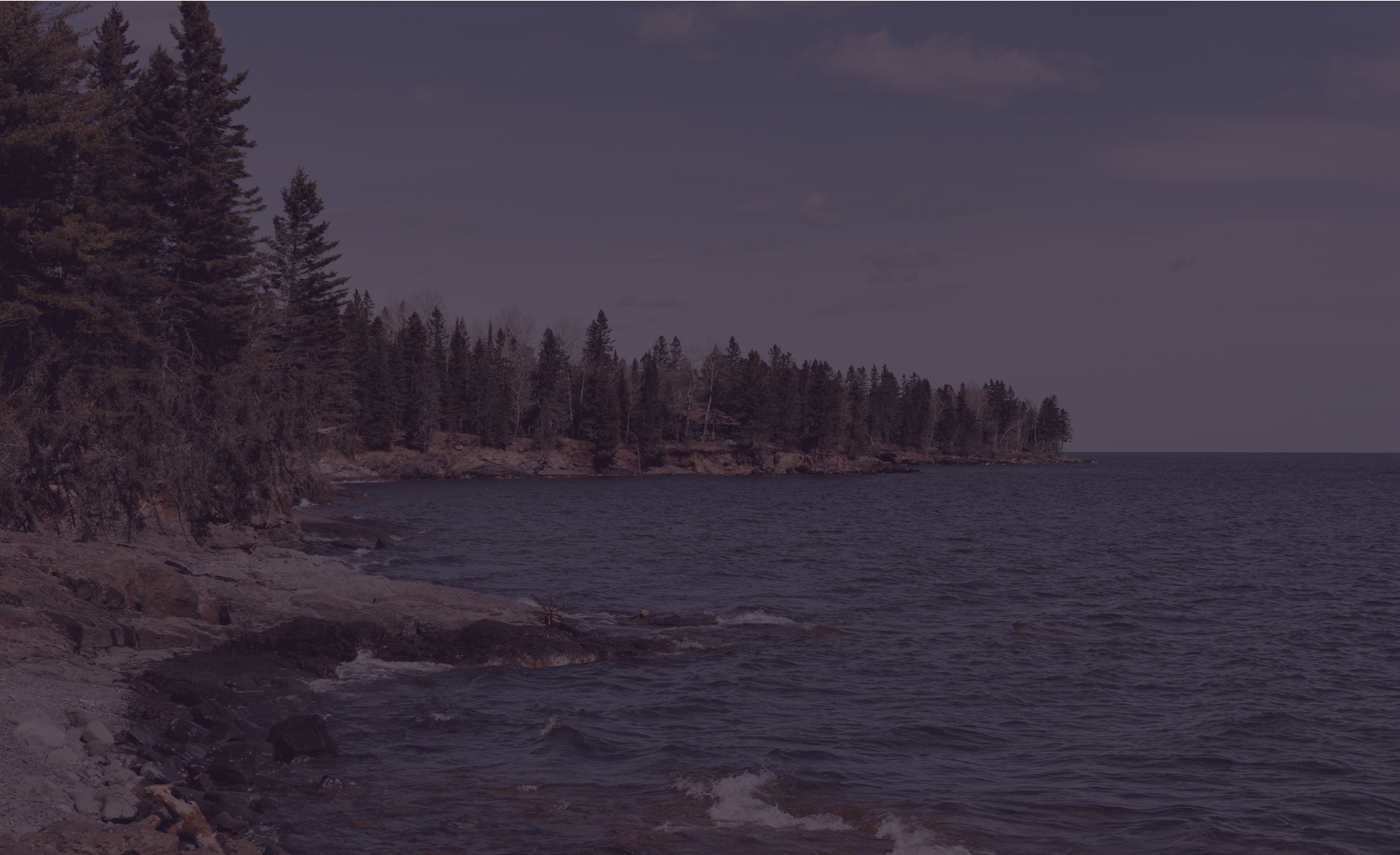 Trees and rocks along the short of lake superior